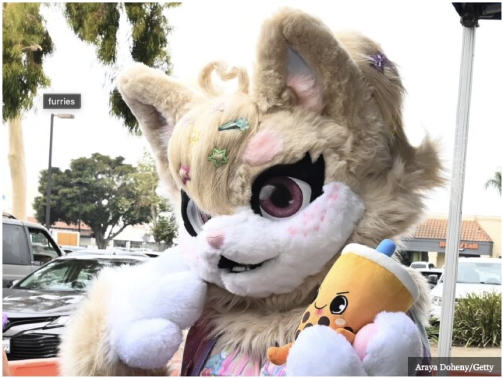 Watch: Middle-School Kids Protest Staff Support for ‘Furries’ Clique